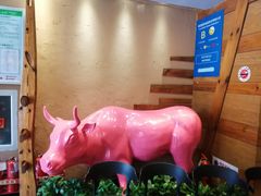 -小放牛炒菜馆(军校店)
