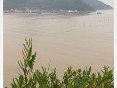-北岐滩涂