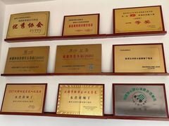 -胖大姐黄辣丁鱼庄(新津店)