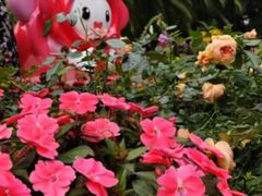 -人民公园(罗湖区)