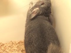 -龙猫仔乐园(惠福东路店)