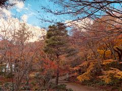 -常寂光寺
