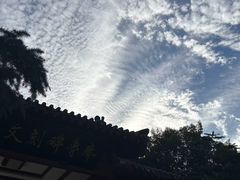 -佛慧山