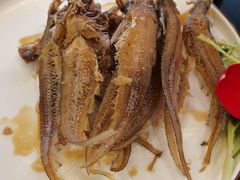 现炸烤子鱼-新南华大酒店(长寿店)