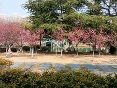 -白塘生态植物园