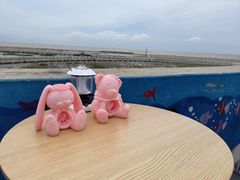 -南汇嘴观海公园