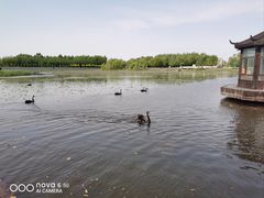 -卧龙湖