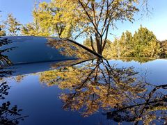 -三里屯东五街银杏大道