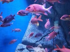 -成都浩海立方海洋公园