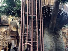 -杭州开元森泊度假乐园