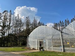 -前小桔亲子创意农场·草莓采摘·露营烧烤