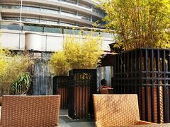-青藤茶馆(凤起路店)