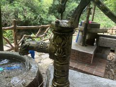 -广州白江湖森林公园