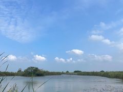 -盐城丹顶鹤湿地生态旅游区