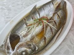 -七的湖·江南蟹舫·阳澄湖农家菜(蟹舫苑店)