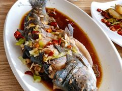 哲罗-镜泊湖聚仙楼鱼馆