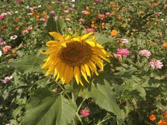 -钟山体育运动公园