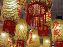 -朱光玉火锅馆(正弘城店)