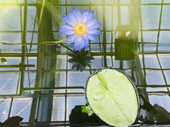 -国家植物园