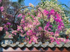 -深圳国际园林花卉博览园