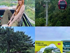 -王莽岭风景区