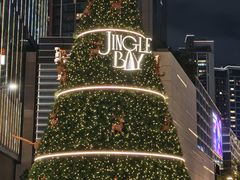 -深圳湾万象城(南山店)