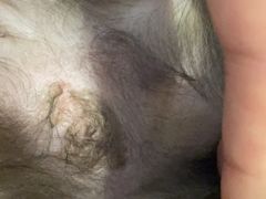 -美联众合动物医院·24h转诊中心