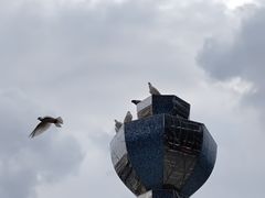-江燕路万科里