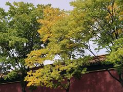-横店影视城明清宫苑园区