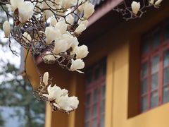 -杭州上天竺法喜讲寺