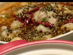 水煮鱼-金鼎轩(亚运村店)