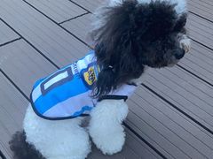 -百好乐宠物友好餐厅(朝外大街店)