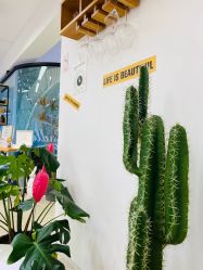 -杨丹国际美学肌研所