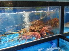 -熙楼(翠湖店)