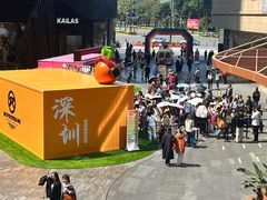 -大湾区中央湿地公园-十九涌