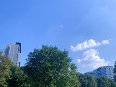 -九里河湿地公园