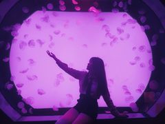 -沈阳海洋探索中心