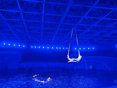 -海合安青岛极地海洋公园
