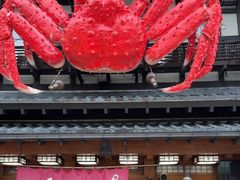 -蟹料理 北海道かに将軍(札幌本店)