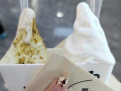 -野人先生现做冰淇淋(西安赛格店)