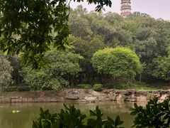 -榴花公园