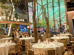 -桂满陇·海市蜃楼·黑金(国金店)