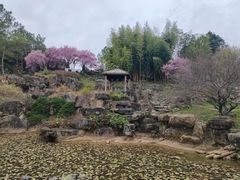 -秀丽东方