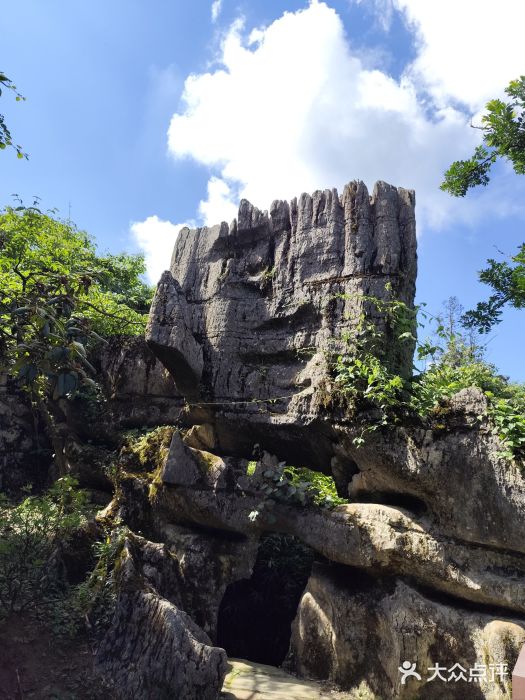 山王坪喀斯特国家生态公园图片