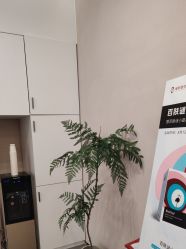 -壹加壹医疗美容·轻医美·美容外科