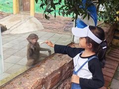 -贵州森林野生动物园