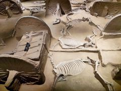 -洛阳周王城天子驾六博物馆