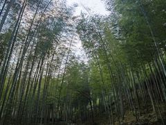 -黄公望隐居地