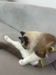 -甲骨文美甲美睫美容化妆