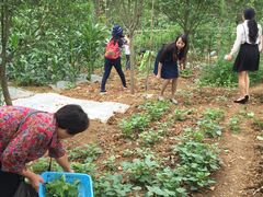 -白鹭湾湿地公园